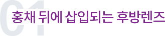 홍채 뒤에 삽입되는 후방렌즈