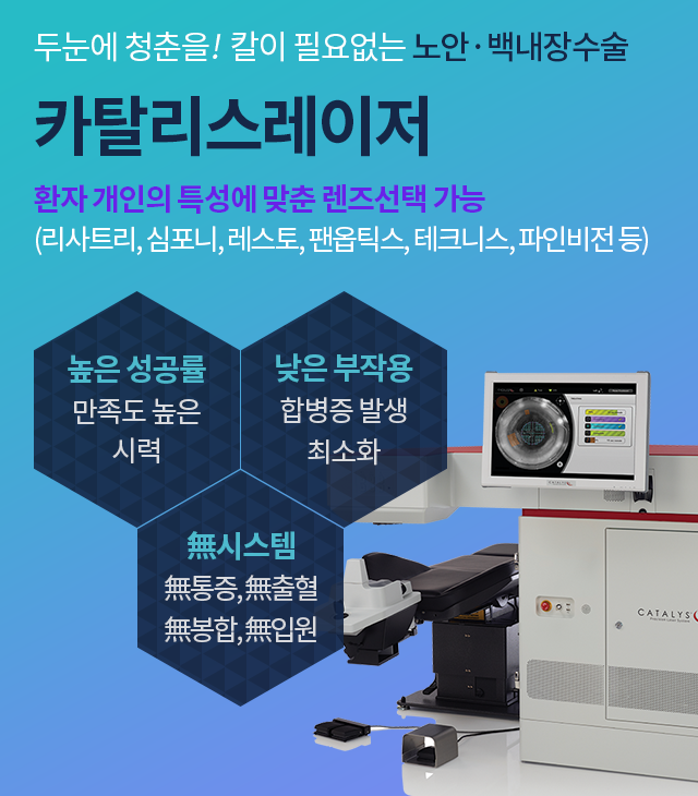 카탈리스레이저 이미지